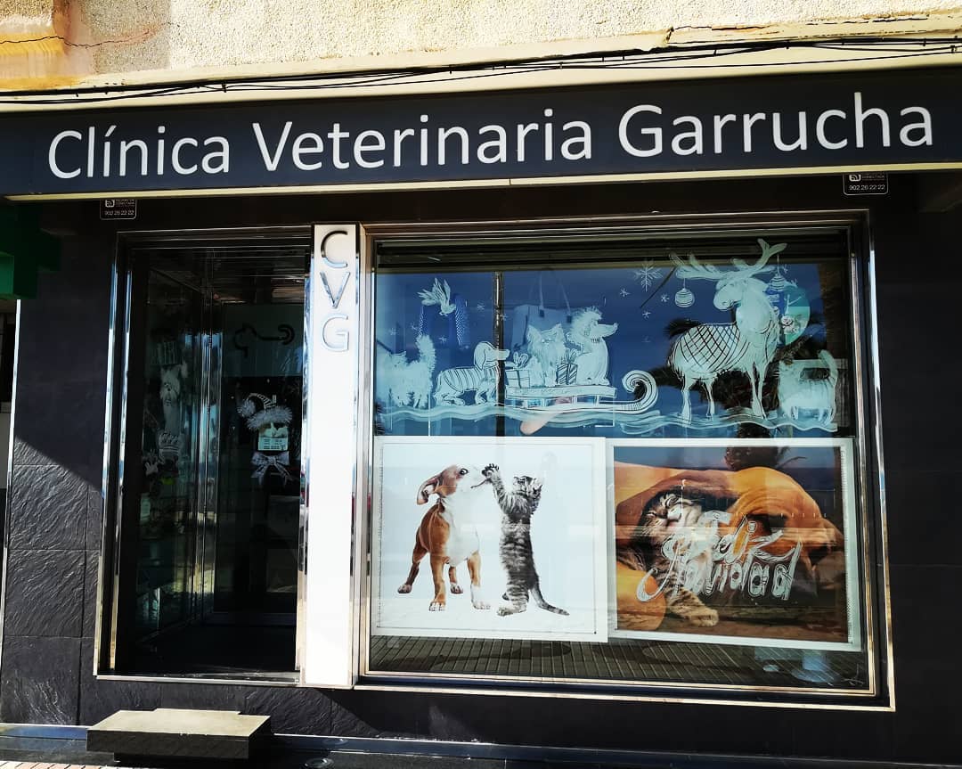 Clínica Veterinaria Garrucha